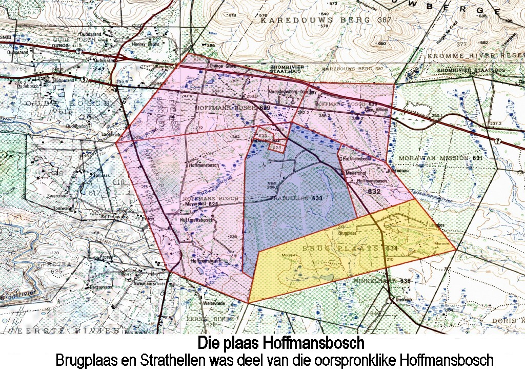 Hoffmansbos_Detail